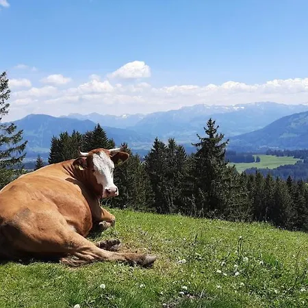 Apartmán Boeck, Wengen Im Allgaeu Weitnau