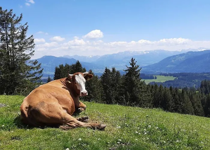 Lejlighed Boeck, Wengen Im Allgaeu Weitnau